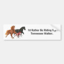 Buscar caballos gaited Ecuestre