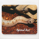 Buscar reptiles alfombrillas de raton Exótico