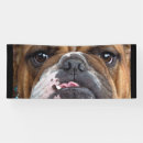 Buscar inglés lonas Perro