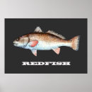 Buscar tambor rojo posters Pesca