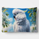 Buscar cockatoo accesorios Colorido