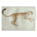 Buscar pisanello postales Décimo quinto