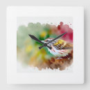 Buscar feather arte Watercolor