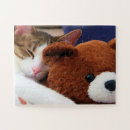 Buscar osos de peluche puzzles Animales