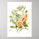 Buscar olor posters Floral