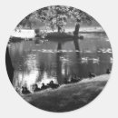 Buscar pájaro negro manualidades Vida silvestre