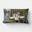 Buscar patos blancos cojines Elegante