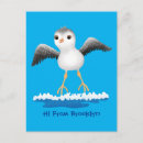 Buscar aves costeras postales General y unisex