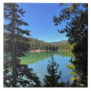 Buscar diablo azulejos Demonios