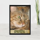 Buscar nuevo gato tarjetas Felino