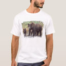 Buscar arctos camisetas Norteamérica