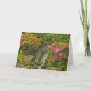 Buscar rododendro tarjetas Azalea