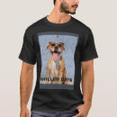 Buscar staffie Staffordshire