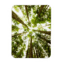 Buscar olímpico imanes Naturaleza