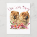 Buscar chow chow postales Raza de perro