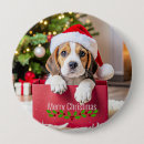 Buscar beagle chapas Navidad