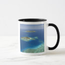 Buscar isla del tesoro tazas Alojamiento
