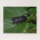 Buscar escarabajo puzzles 4 º bicho