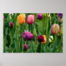 Buscar cama de flor posters General y unisex