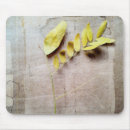 Buscar conservación alfombrillas de raton Fotografía