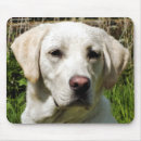 Buscar dog alfombrillas de raton Animales