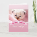 Buscar gatito siamés tarjetas 9 º gata