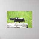 Buscar baby lienzos Animal joven