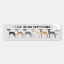 Buscar galgo pegatinas parachoque Lindo