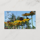 Buscar susans oficina escuela Wildflower