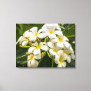 Buscar leus arte Flor
