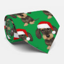 Buscar dachshund lindo corbatas Perro