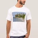 Buscar surf america camisetas Tropical