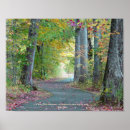 Buscar paseo arte Naturaleza