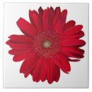 Buscar cierre azulejos Flor