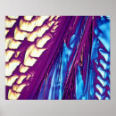 Buscar ciencias naturales posters Extracto