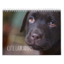 Buscar labrador retriever calendarios Laboratorios