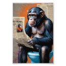 Buscar chimpancé posters Animal