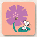 Buscar cacahuetes posavasos Naturaleza