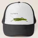 Buscar insecto gorras Animal