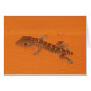 Buscar gecko tarjetas Reptile