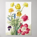 Buscar blauw Floral