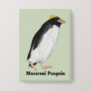 Buscar penguin chapas Pájaro
