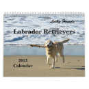 Buscar labrador retriever calendarios Perros