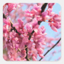 Buscar raíz pegatinas Marrón