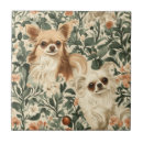 Buscar chihuahua azulejos Floral