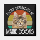 Buscar coon de maine imanes Amante del gato