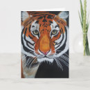 Buscar rey de la selva tarjetas Gato