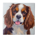 Buscar cocker spaniel azulejos Perro