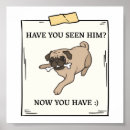 Buscar perro perdido posters Amante del perro