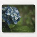 Buscar hydrangea alfombrillas de raton Hidrangeas
